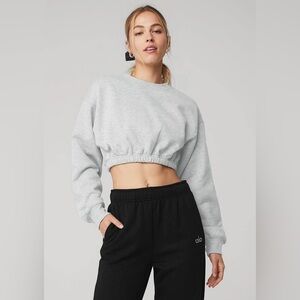 Alo Yoga Devotion Crewneck Cropped Sweatshirt (Grey) - Size XS